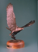 Eagle with fish.