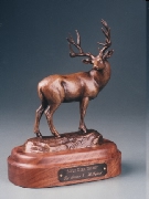 Mule Deer Trophy