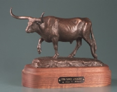 Open Range Longhorn