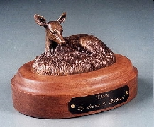 Fawn
