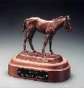 The Filly (22KB)