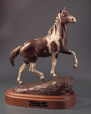 Wild Stallion